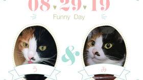 福利瞳孔在线,揭秘科技与公益的完美融合